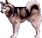 Extended Family