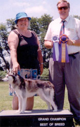 Buddy The FIRST Grand Champion in Breed History!