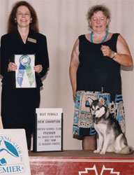 ARBA and UKC Champion Kiputaka of Mari